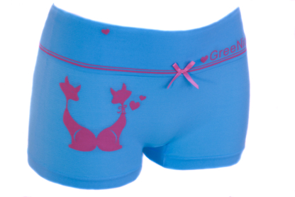 Damen Panties 6er Pack Hipsters Boxershorts Hotpants Frauen Panty Neu – Bild 7